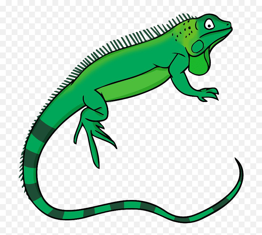 Reptile Cartoon Clipart Best Free - Transparent Background Iguana Clipart Emoji,Lizard Clipart
