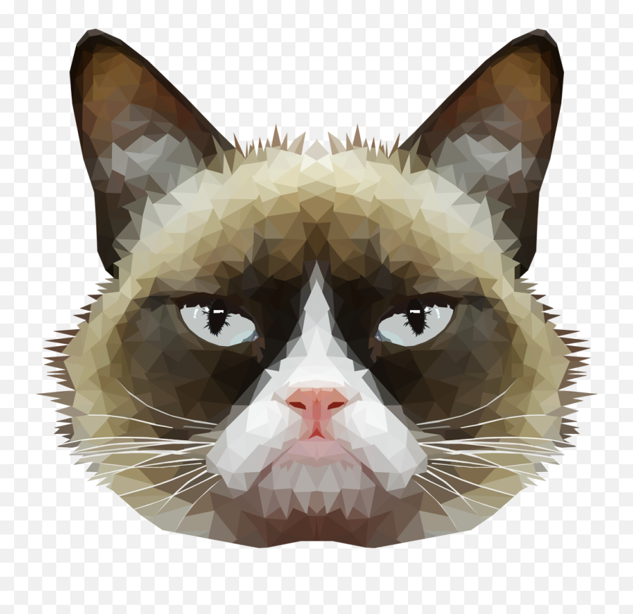 Download Pics For U003e Transparent Tumblr Grumpy Cat - Grumpy Soft Emoji,Cat Transparent Background