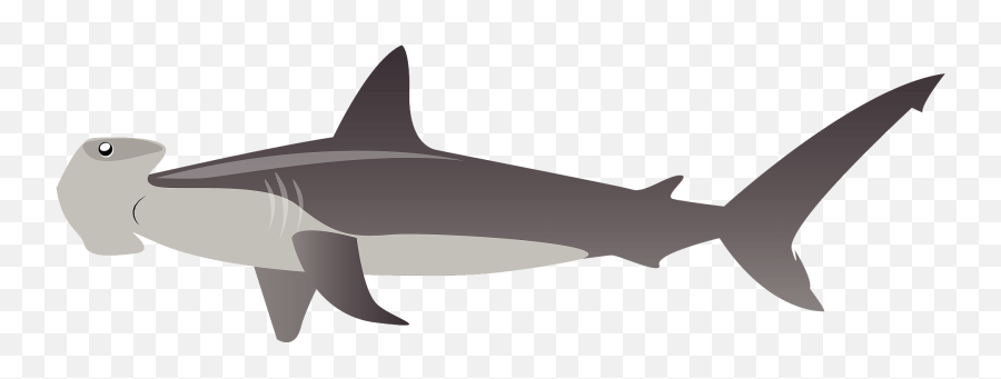 Hammerhead Shark Clipart - Scalloped Hammerhead Emoji,Shark Clipart Black And White