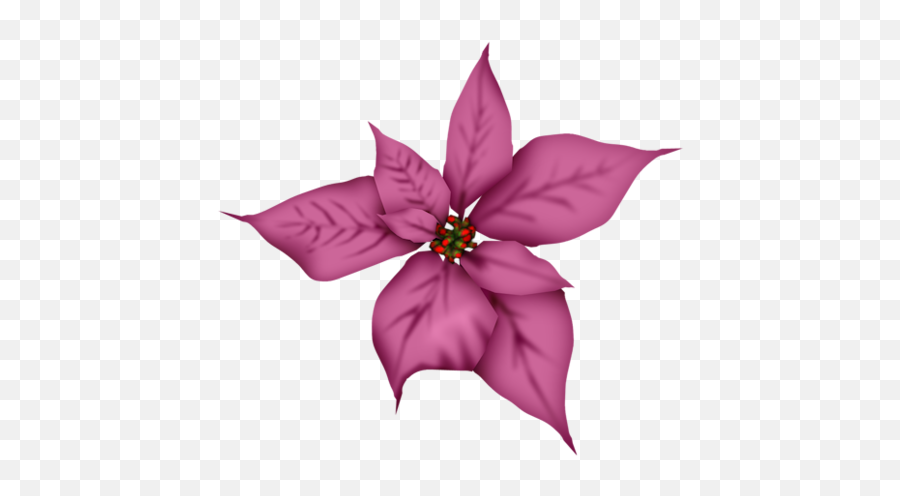 Pin On Flower Clipart 2 - Lovely Emoji,Poinsettia Clipart