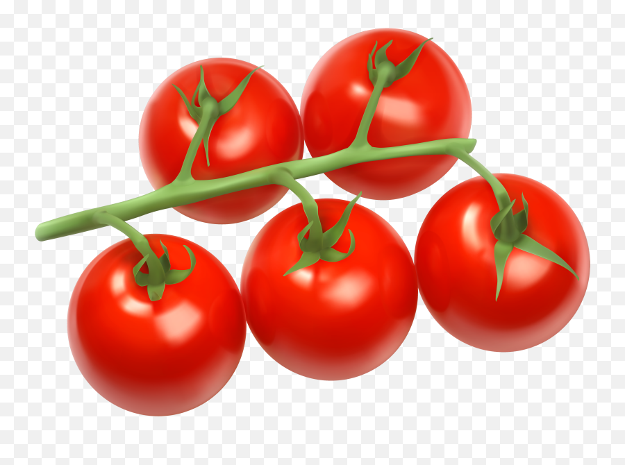 Free Clip Art - Tomatoes Png Emoji,Tomato Clipart