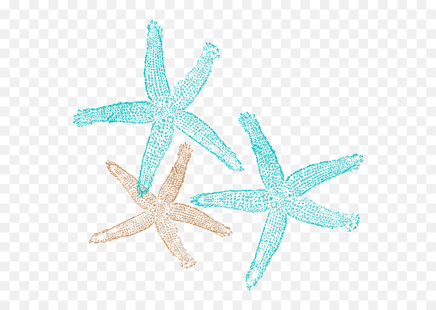 Library Of Sand Sun And Starfish Picture Clip Art Stock Png - Turquoise Starfish Clip Art Emoji,Sand Clipart