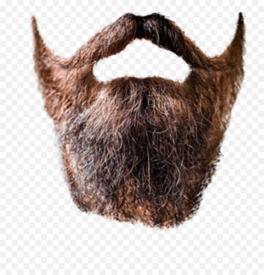 Beard Transparent - Beard Transparent Background Emoji,Beard Png