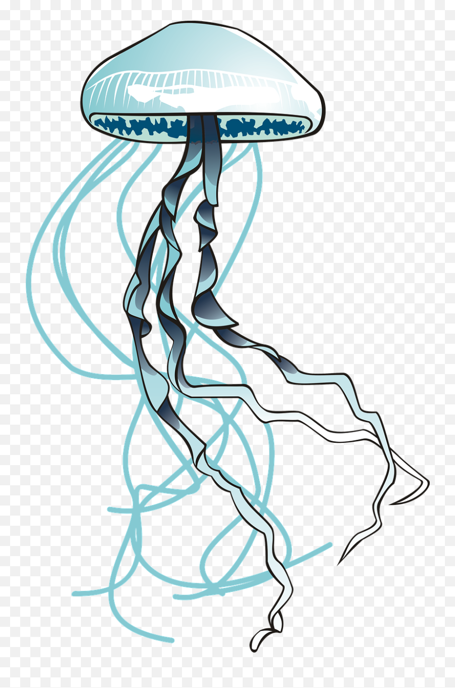 Jellyfish Sea Ocean - Free Image On Pixabay Medusa De Mar Png Emoji,Jellyfish Transparent Background