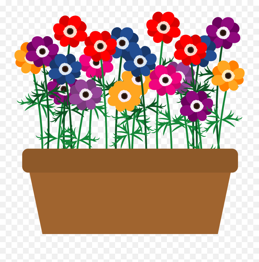Poppy Anemone Flower Clipart Emoji,Poppy Flower Clipart
