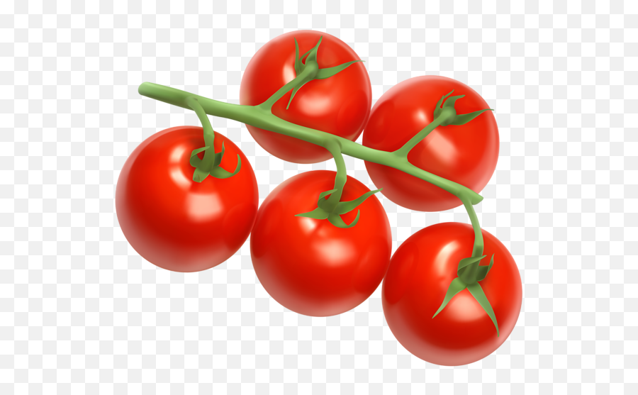 Gallery - Tomatoes Png Vector Clipart Emoji,Tomato Clipart