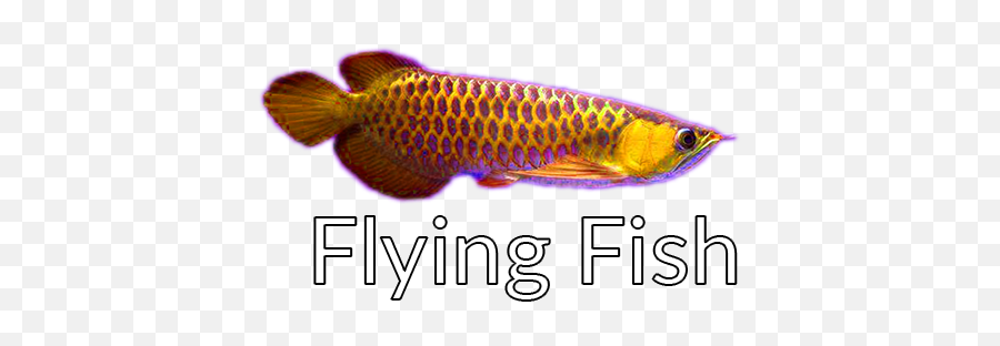 Flying Fish Game U2013 Apps On Google Play Emoji,Flying Fish Logo
