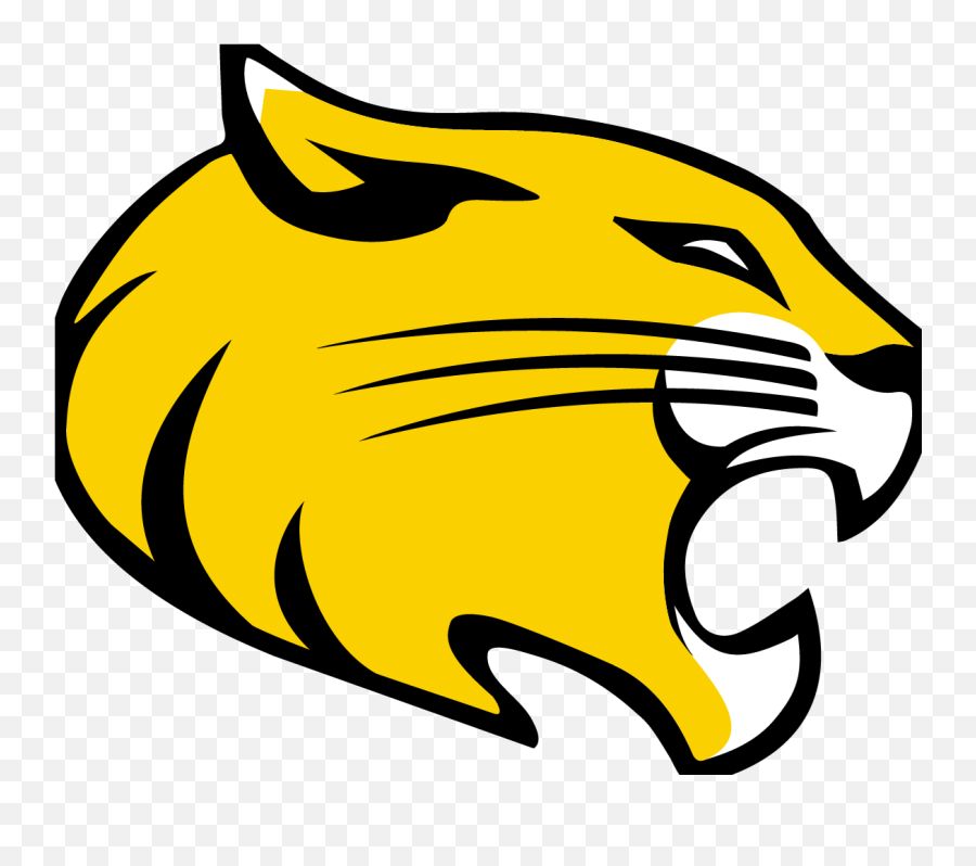 Menu0027s Lacrosse - Randolph College Randolph College Wildcats Emoji,Wildcats Logo