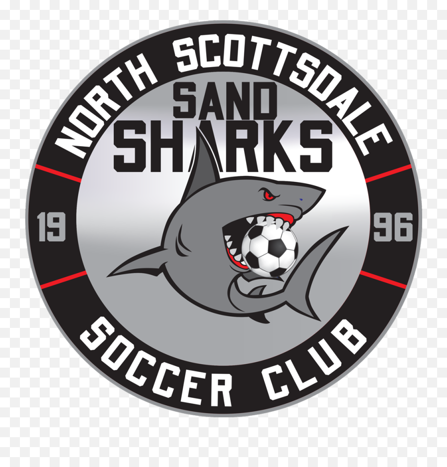 Download Sharks Logo Png - Full Size Png Image Pngkit North Scottsdale Soccer Sandsharks Emoji,Sharks Logo