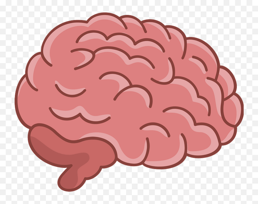 Brain Clipart - Curly Emoji,Brain Clipart Png