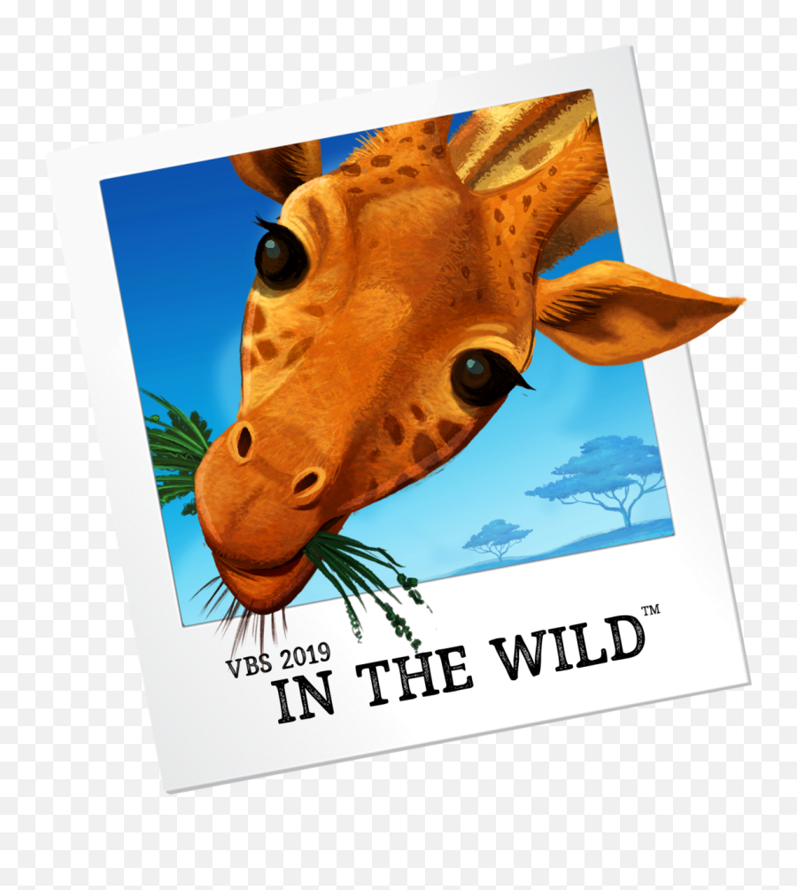 Library Of Lifeway Vbs 2019 In The Wild Animals Clip Art - Wild Vbs Registration Forms Emoji,2019 Clipart