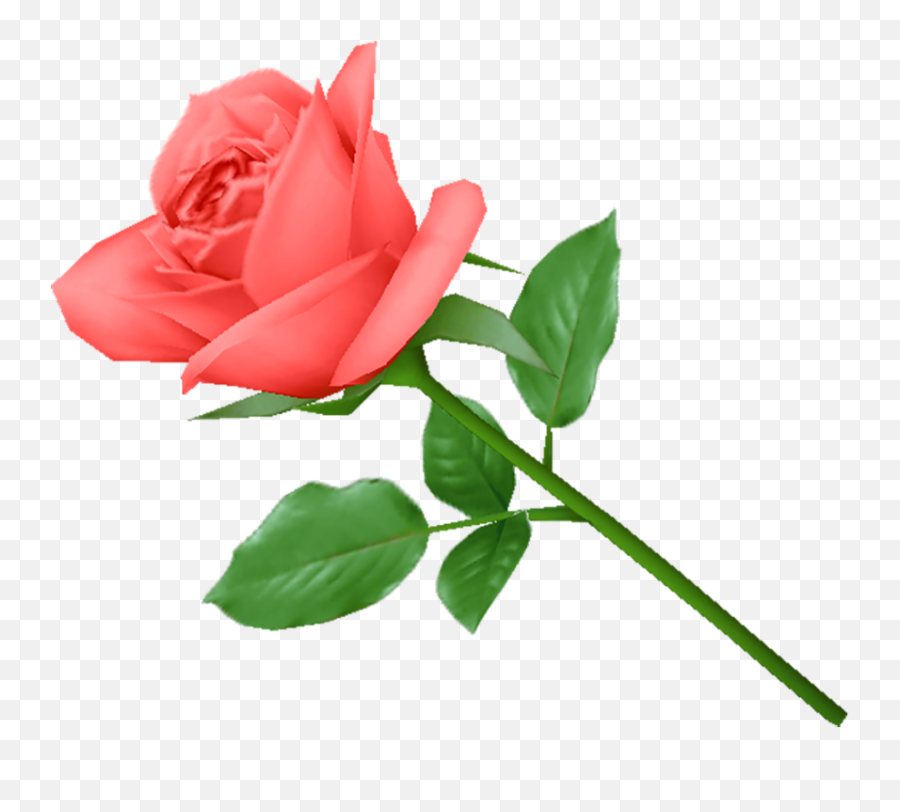 Pink Rose Png Image Background - Pink Rose Png Emoji,Png Image
