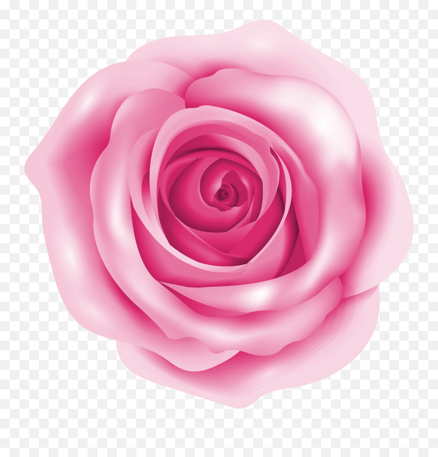 Pink Rose Png Clip Art Image Galler 828173 - Png Images Pink Clipart Rose Transparent Background Emoji,Rose Clipart Png