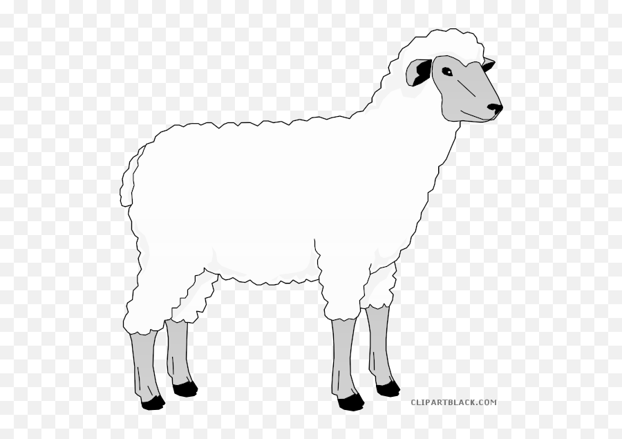 Sheep Clip Art Clipart Goat Merino Clip - Ewe Clipart Emoji,Farm Animals Clipart Black And White