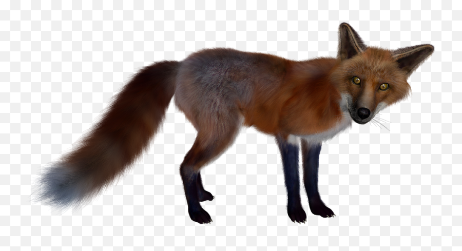 Fox Png Alpha Channel Clipart Images - Ræv Png Emoji,Fox Transparent Background