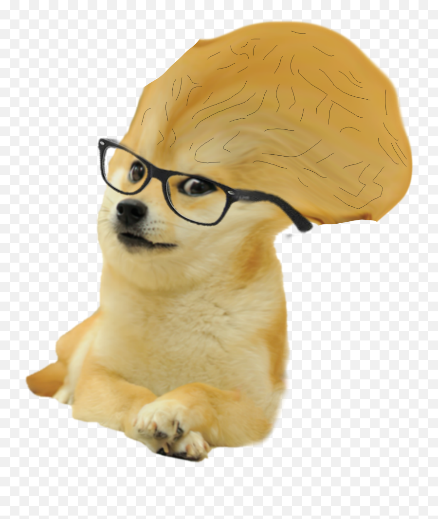 Big Brain Doge Png - Finnish Soldier With Animals Emoji,Doge Png
