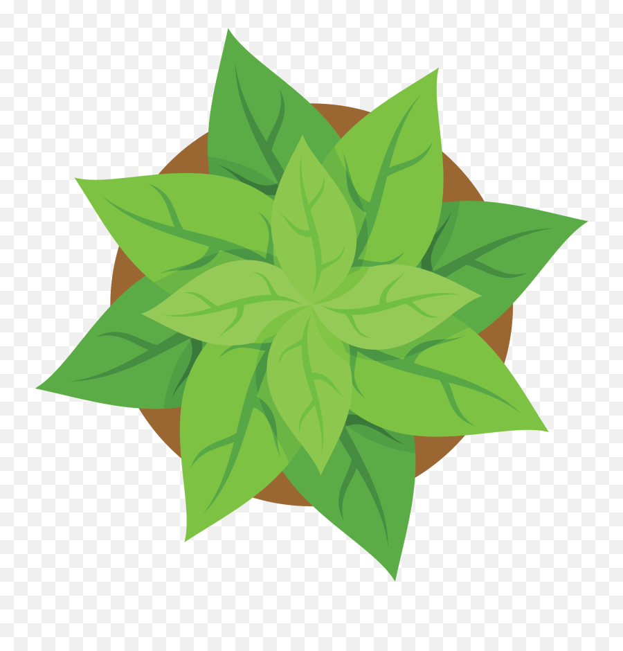 Plant Pot Top View Clipart Free Download Transparent Png - Clip Art Emoji,Plants Clipart