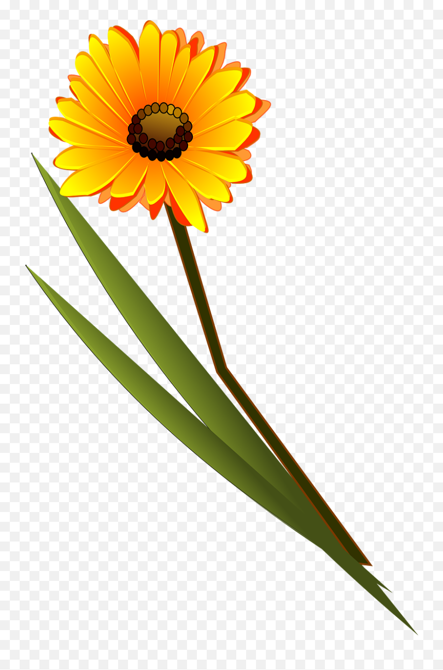 Flower Yellow Daisy Plant Png Picpng Emoji,Daisy Flower Png