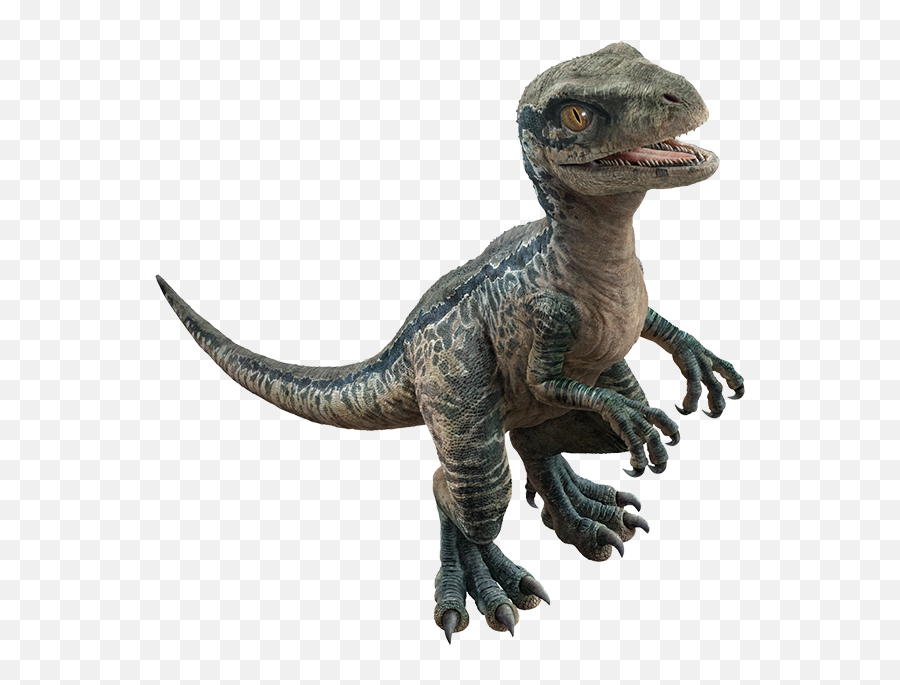 Fede On Twitter Baby Raptor Squad Rendersu2026 Emoji,Velociraptor Transparent