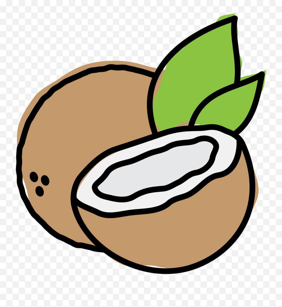 Skout Organic Protein Bar Coconut Plant - Based And Delicious Fresh Emoji,Coconut Clipart