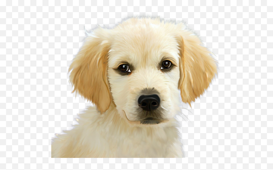 Dog Dog Puppy Golden Retriever Clipart - Northern Breed Group Emoji,Golden Retriever Clipart