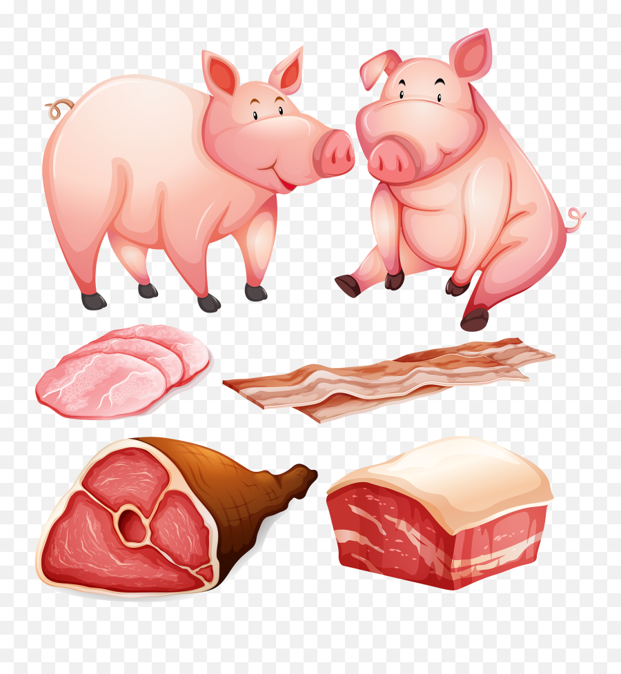 Pork Clipart Pig Snout - Pig Flashcard Transparent Cartoon Pork And Pig Clipart Emoji,Pigs Clipart
