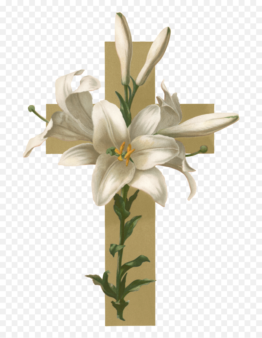 Crucifix Clipart Easter Lily Plant Crucifix Easter Lily - Clip Art Easter Lily Emoji,Easter Cross Clipart