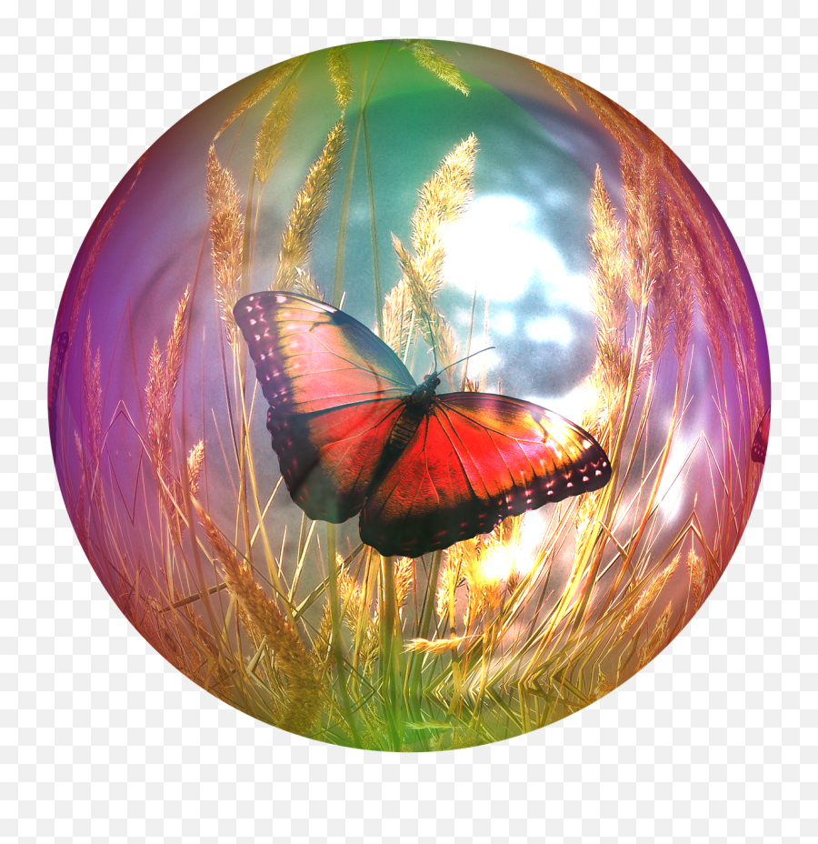 Soap Bubble Butterfly Cornfield Png Picpng - Bubble With Butterfly Inside Emoji,Soap Bubble Png