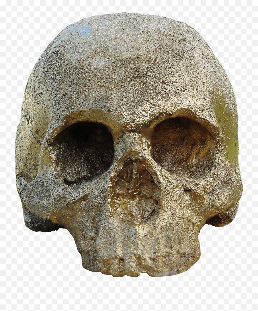 Download Free Photo Of Skull And Crossbonesgolden Skull Emoji,Skull Crossbones Png