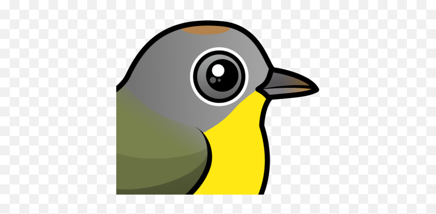 Cute Nashville Warbler By Birdorable U003c Meet The Birds Emoji,Nashville Clipart