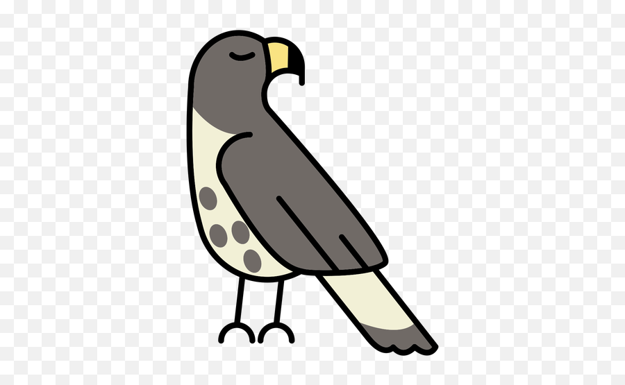 Bird Png Designs For T Shirt U0026 Merch Emoji,Hawk Head Clipart