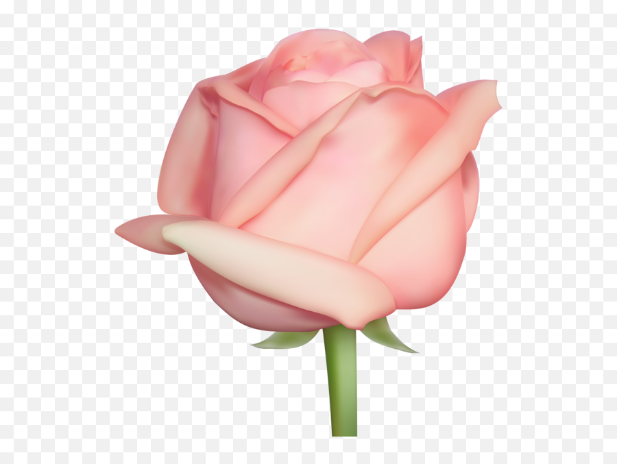 Rose Png - Girly Emoji,Pink Png
