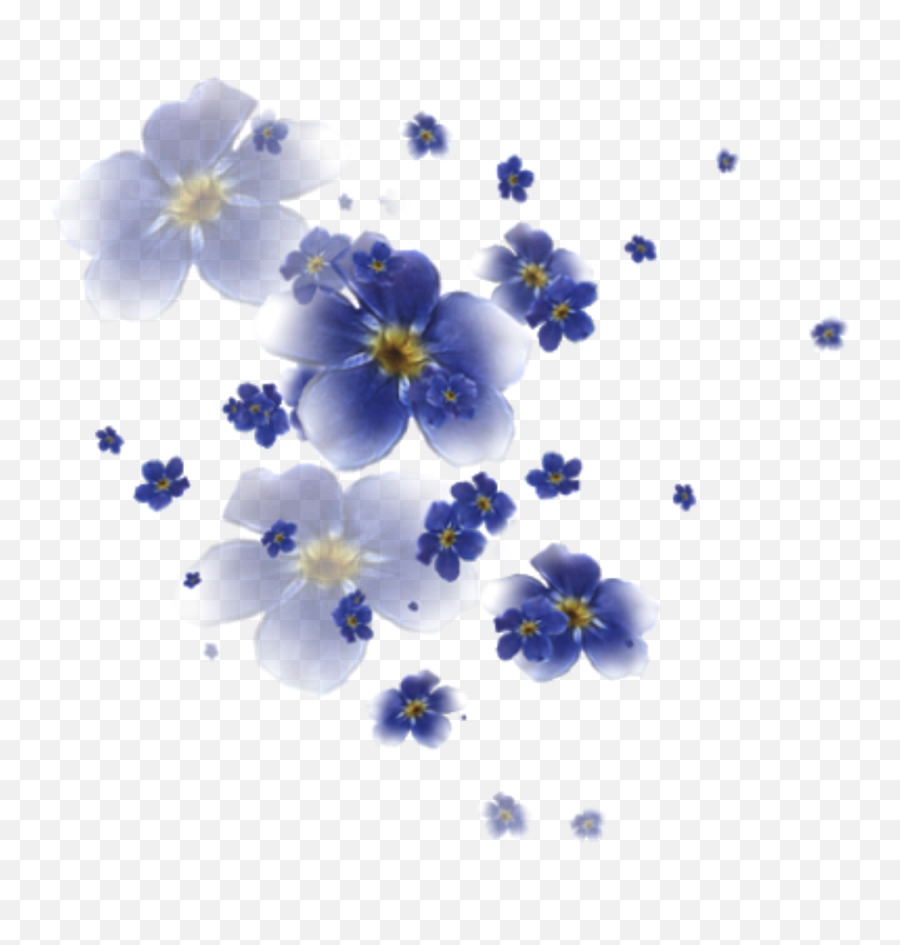 Floatingflowers Flowers Fading Sticker By Candace Kee - Flower Emoji,Forget Me Not Flowers Clipart