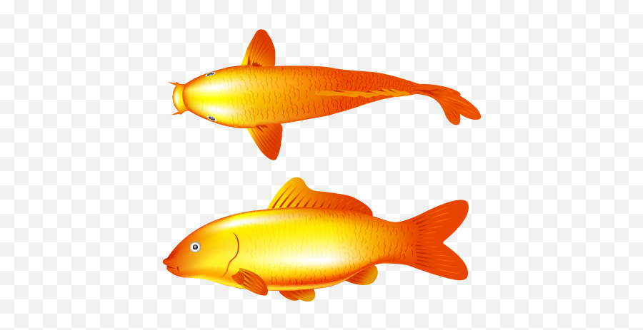 Gold Fish U2013 Free Vector And Transparent Png The Graphic - Vector Graphics Emoji,Aquarium Clipart
