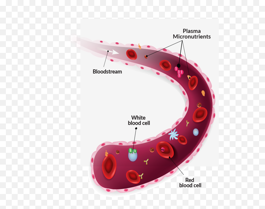 Blood Stream - Bloodstream Transparent Transparent Cartoon Cancer Tumor Cells Spread Emoji,Stream Clipart