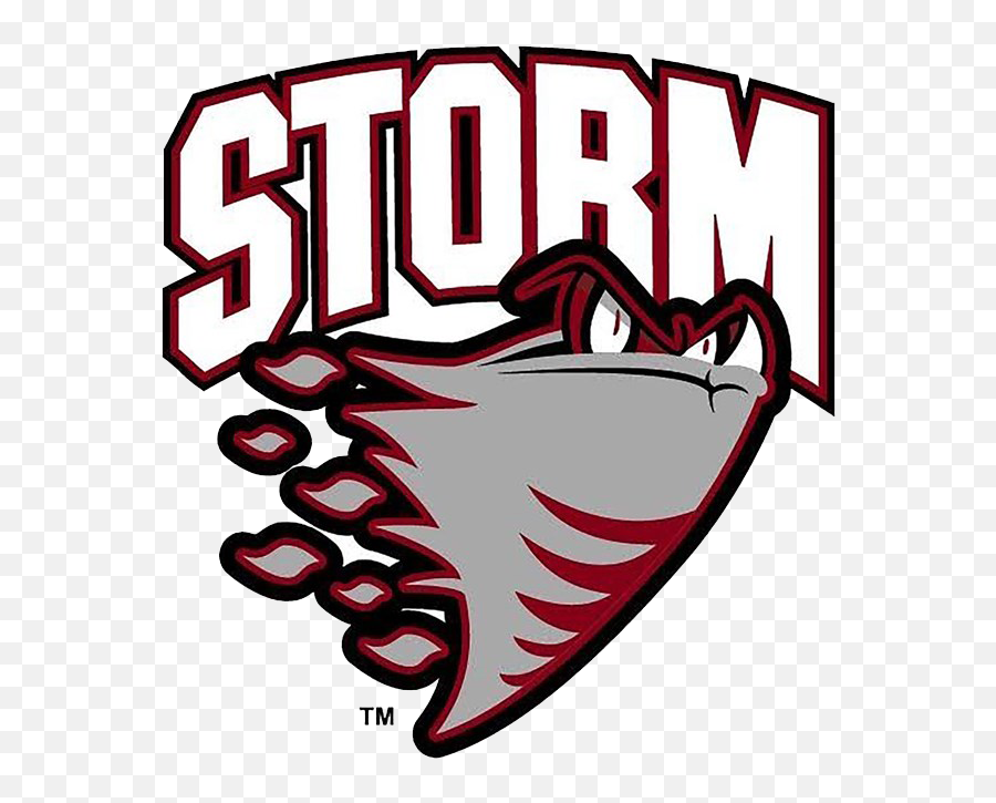 Supporters U2014 The Guelph Giants - Guelph Storm Logo Emoji,Giants Logo Png