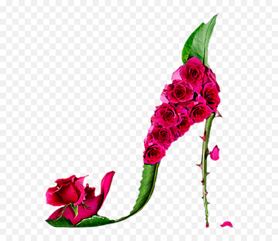 Png V - Botanical Shoe Drawing Emoji,Rosas Png