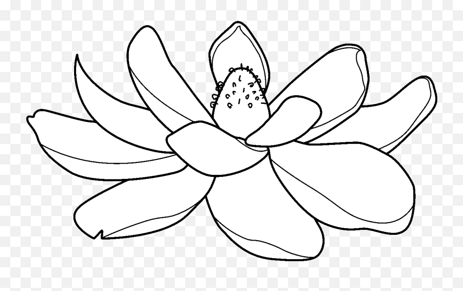 Magnolia - Floral Emoji,Magnolia Png