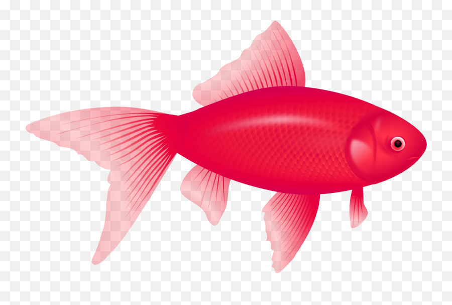 One Fish Two Fish Red Fish Blue Fish - Red Fish Clipart Emoji,Transparent Fish