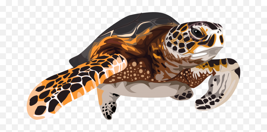 Turtle Craft Minecraft Server Emoji,Sea Turtle Logo
