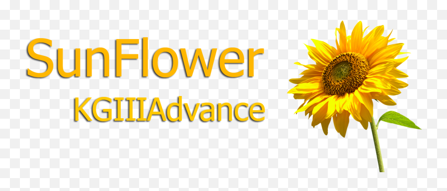 Sunflower Logo Png Logo - Language Emoji,Sunflower Logo