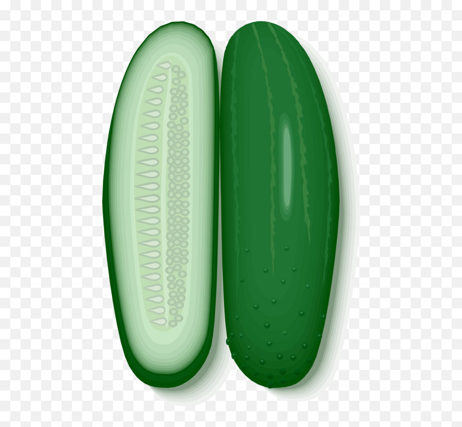 Vegetable Cucumber Pickled Cucumber Png - Cucumber Svg Emoji,Cucumber Clipart