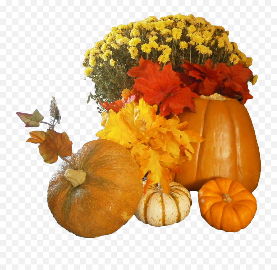Free Thanksgiving Day Png Images - Pumpkin Thanksgiving Png Emoji,Pumpkin Transparent Background
