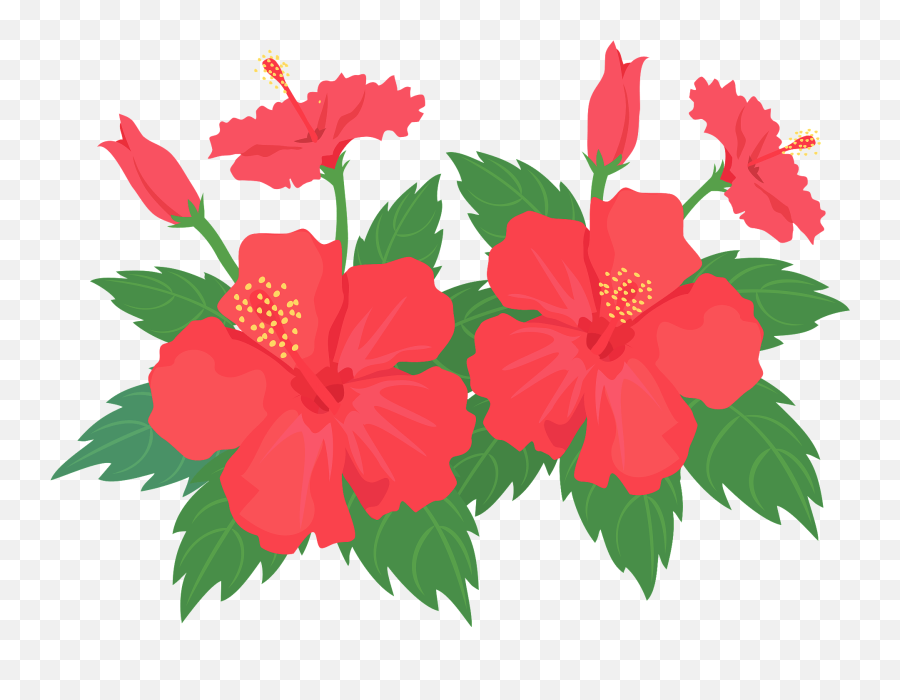Hibiscus Flower Clipart Free Download Transparent Png - Hibiscus Png Emoji,Hibiscus Flower Clipart