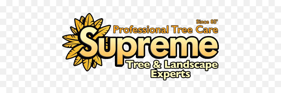 Tree Services In Orange County - Tree Removal Orange County Emoji,Supreme Transparent