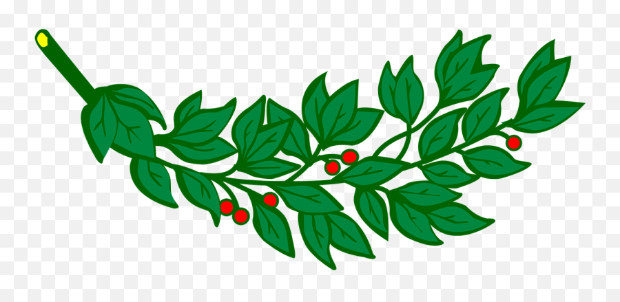 Branch Laurel Leaf Leafy Leaves Png - Heraldic Laurel Svg Emoji,Laurel Leaves Png