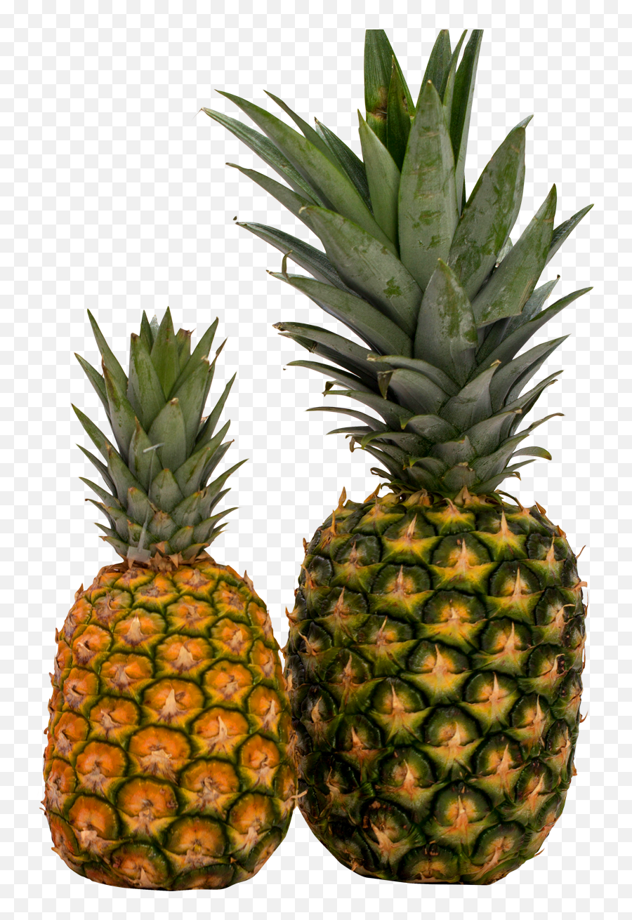 Pineapple Png Image - Two Pineapple Emoji,Pineapple Png