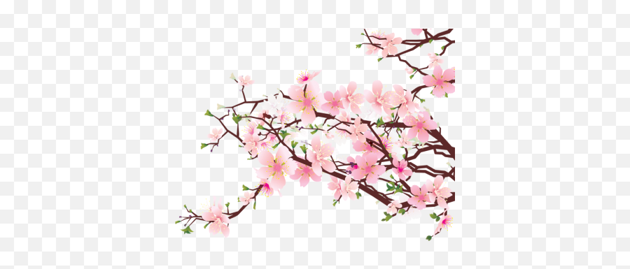 Download Cherry Blossom Free Png Transparent Image And Clipart - Transparent Background Cherry Blossom Clipart Emoji,Cherry Png