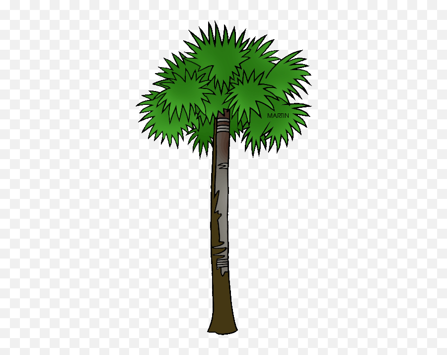 Florida Clipart State - South Carolina State Tree Cartoon Sabal Palm Clip Art Emoji,Florida Clipart