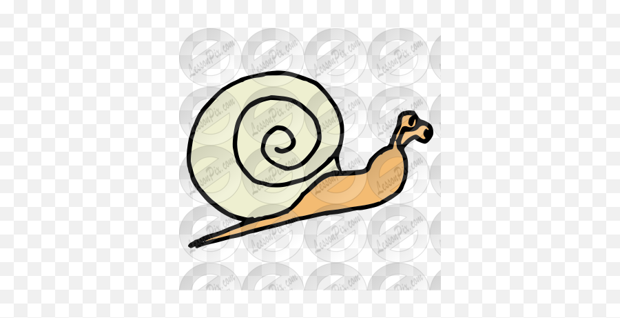 Snail Picture For Classroom Therapy Use - Great Snail Clipart Pond Snails Emoji,Snail Clipart